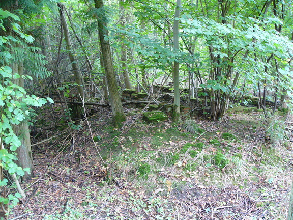 P1020099.JPG