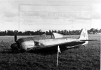 Crashed FW-190