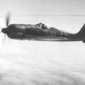 FW-190 In Flight