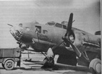 B-17F 42-3024 SU*K, "ROYAL FLUSH"