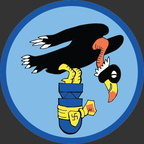 2016 547th Squadron Patch