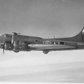 single B-17 in flight1