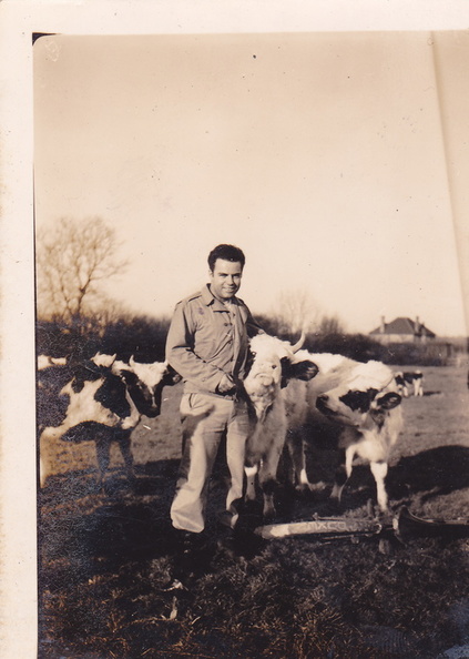 Deston Duke Cleland &amp; Cow 1