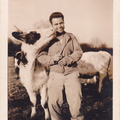 Deston Duke Cleland & Cow