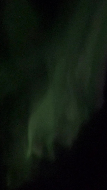 IMG 2487