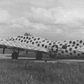 B-17F 42-3441, "Spotted Cow"