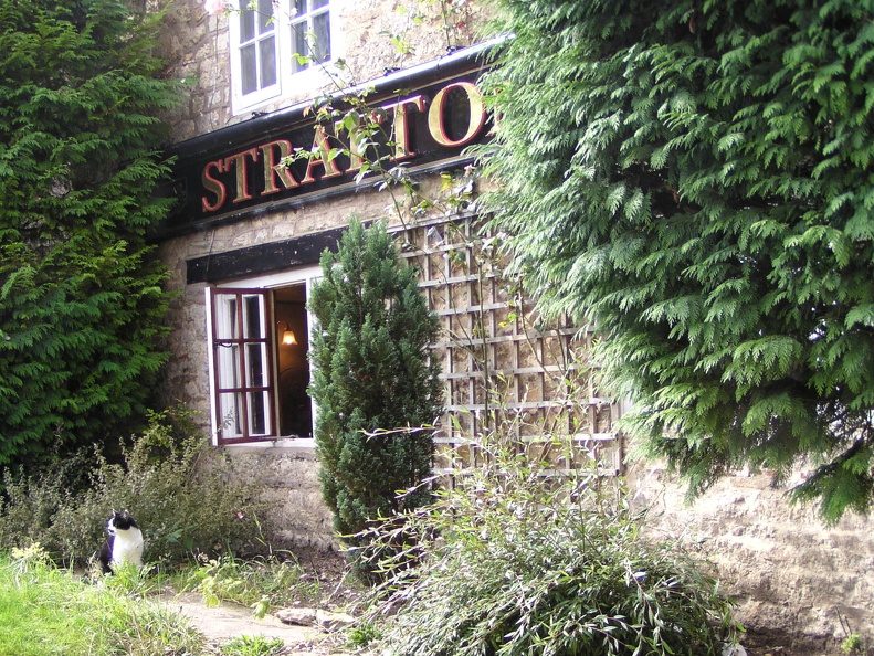 Stratton Arms Pub in Turweston near Brackley. Nice kitty.JPG