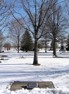 384th Memorial and Tree