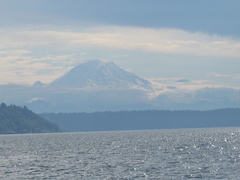 Mt. Rainier