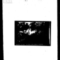 B0376-00194