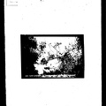 B0376-00208