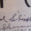 Shinsky Signature