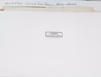 Img0001