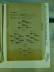 1943-07-29 012 S-2 1685-03-094