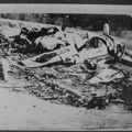 42-31433 Rum Pot II crash site, wreckage