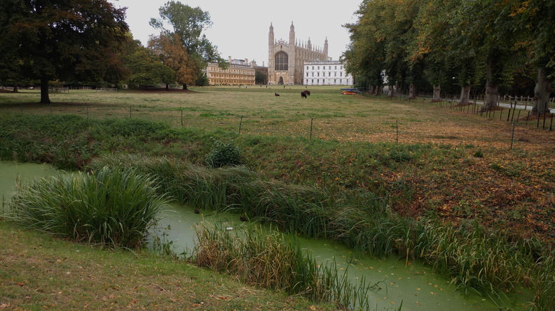 Cambridge 01.jpg