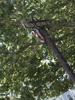 Adelman Square Sign