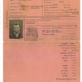 POW Identification Card