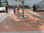 Location of our Commemorative Brick