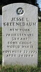 Grave of 2nd Lt. Jesse Leon Greenebaum