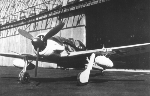 FW-190 Night Fighter