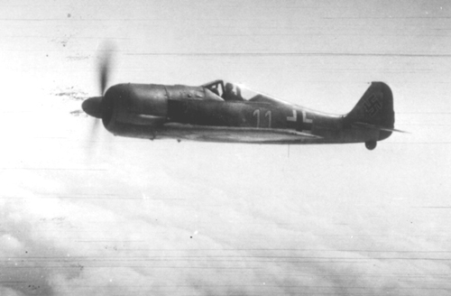 FW-190 In Flight